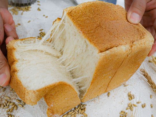 banh mi sandwich nguyen cam